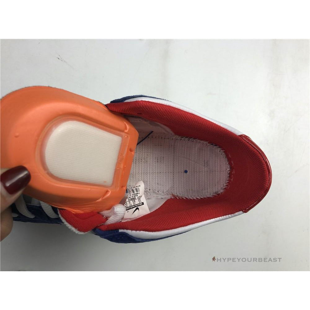 Nike SB Dunk Low Pro 'Ishod Wair"