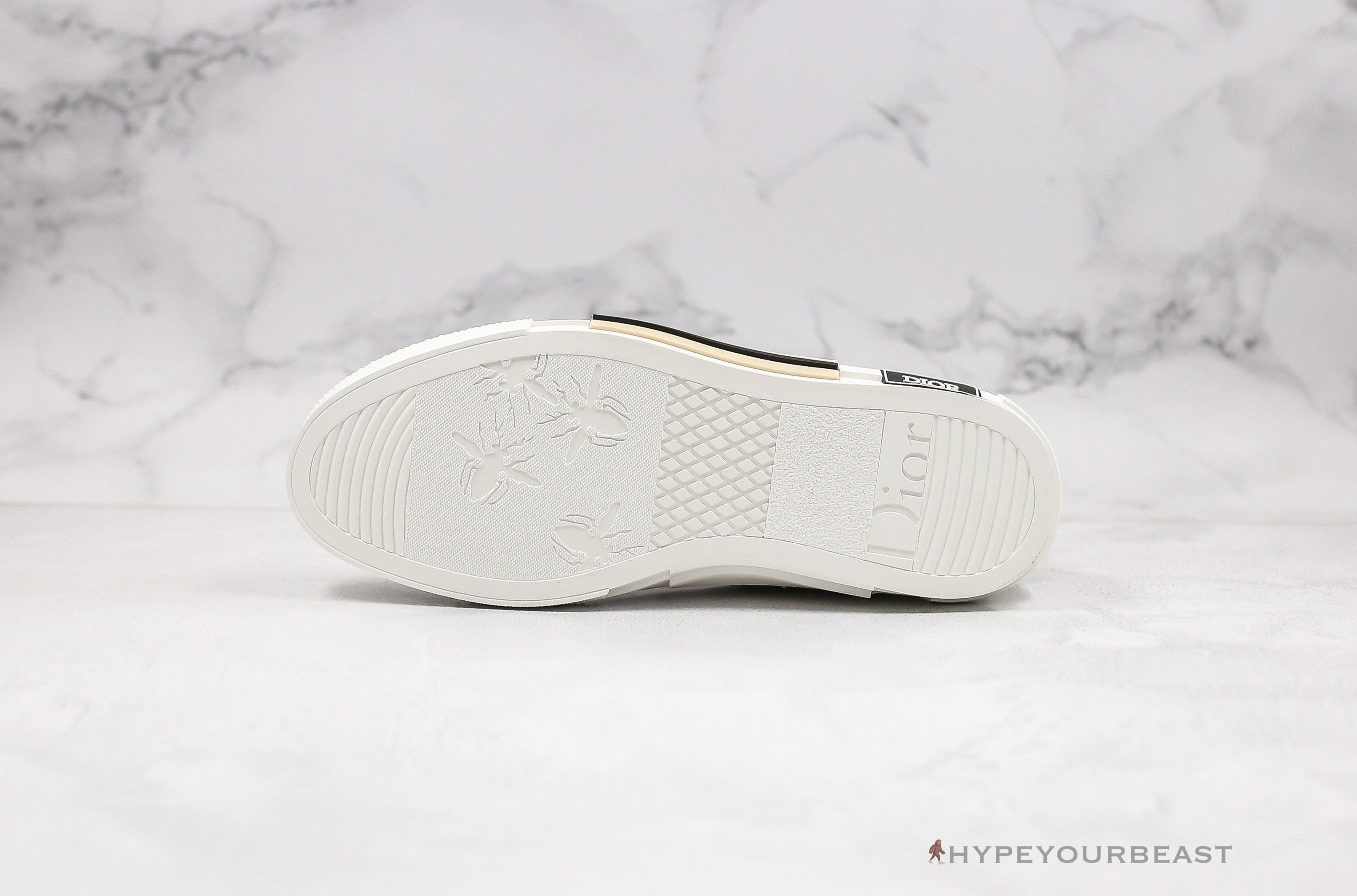 Dior B23 High Transparent Oblique Black