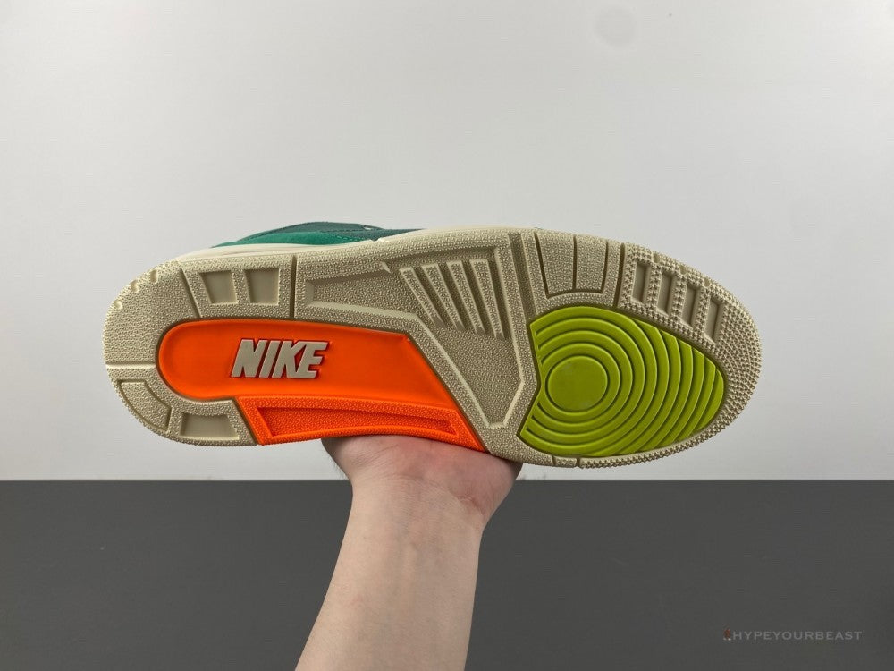 Air Jordan 3 'Nina Chanel Abney Bicoastal'