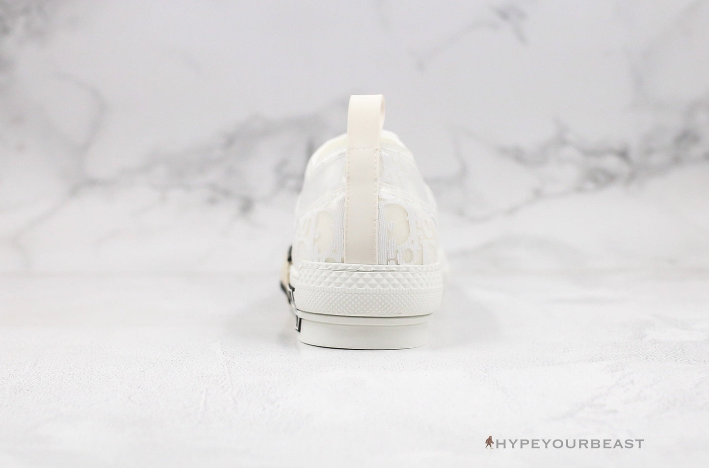 Dior B23 Low Transparent Oblique White