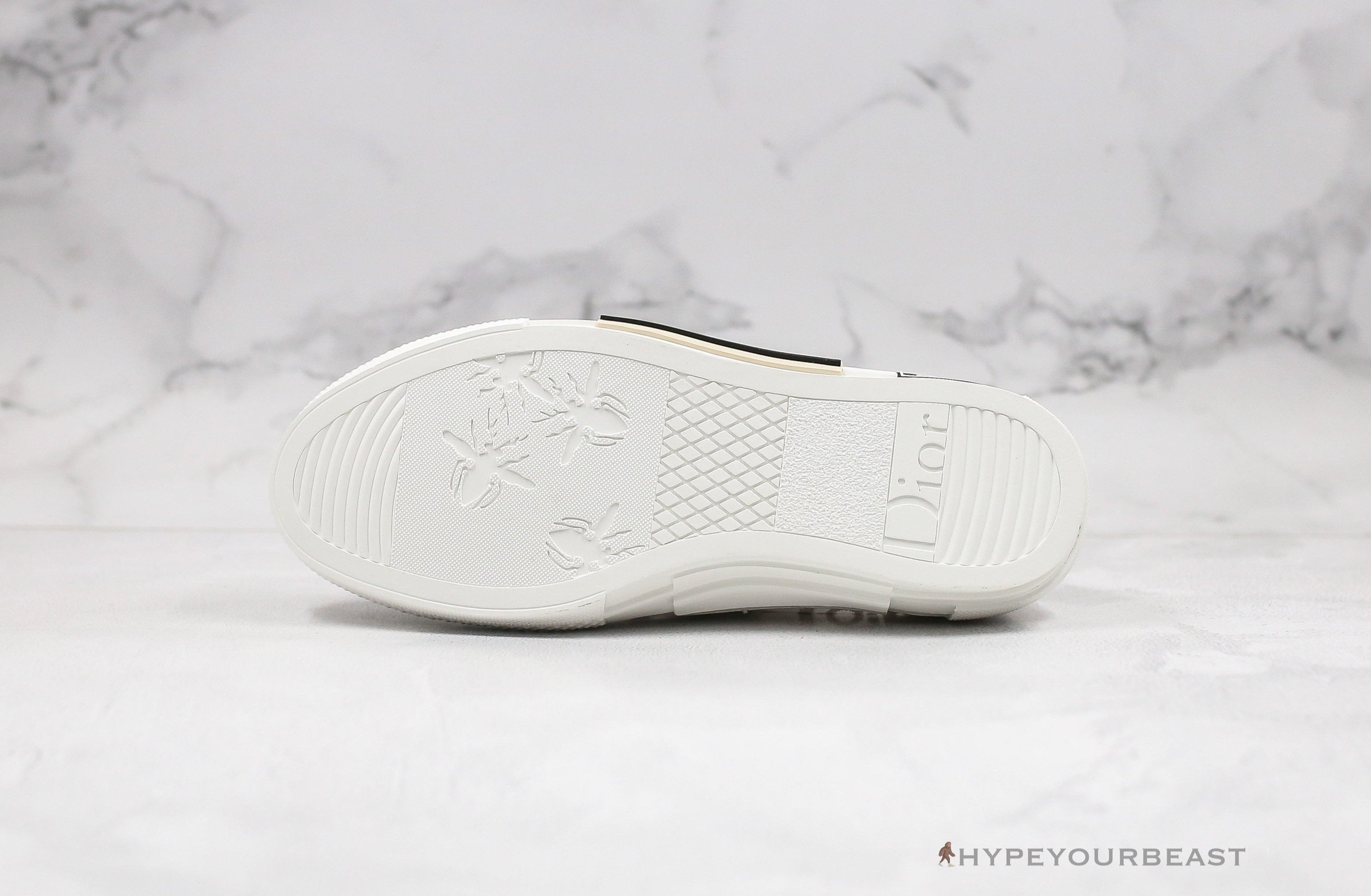 Dior B23 Low Transparent Oblique White