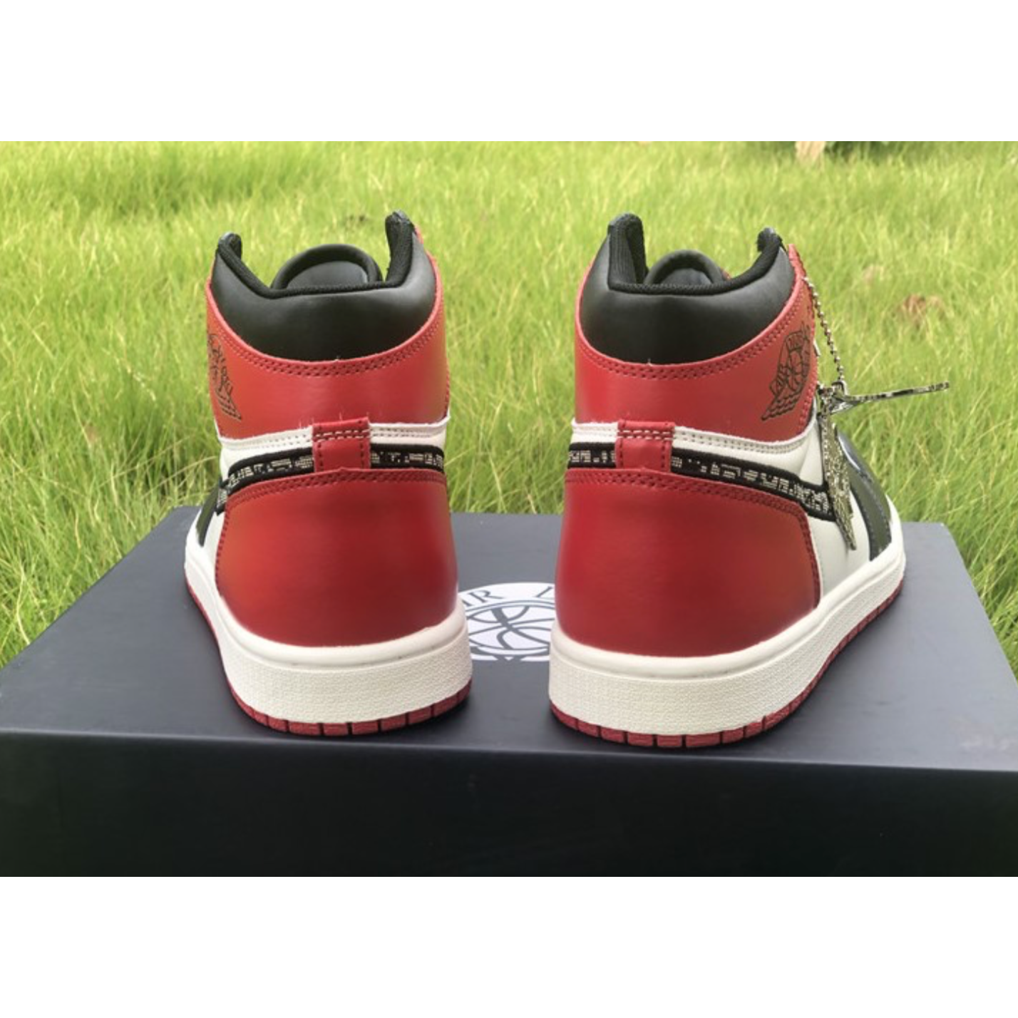 Air Jordan 1 High Black Red X Dior