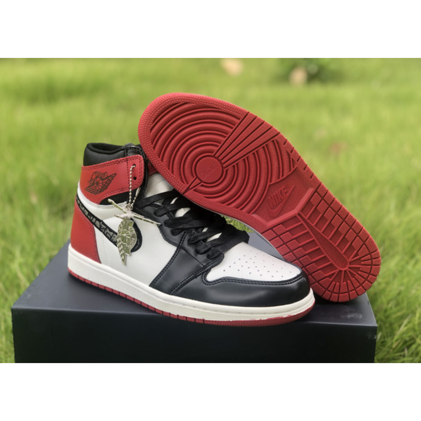 Air Jordan 1 High Black Red X Dior