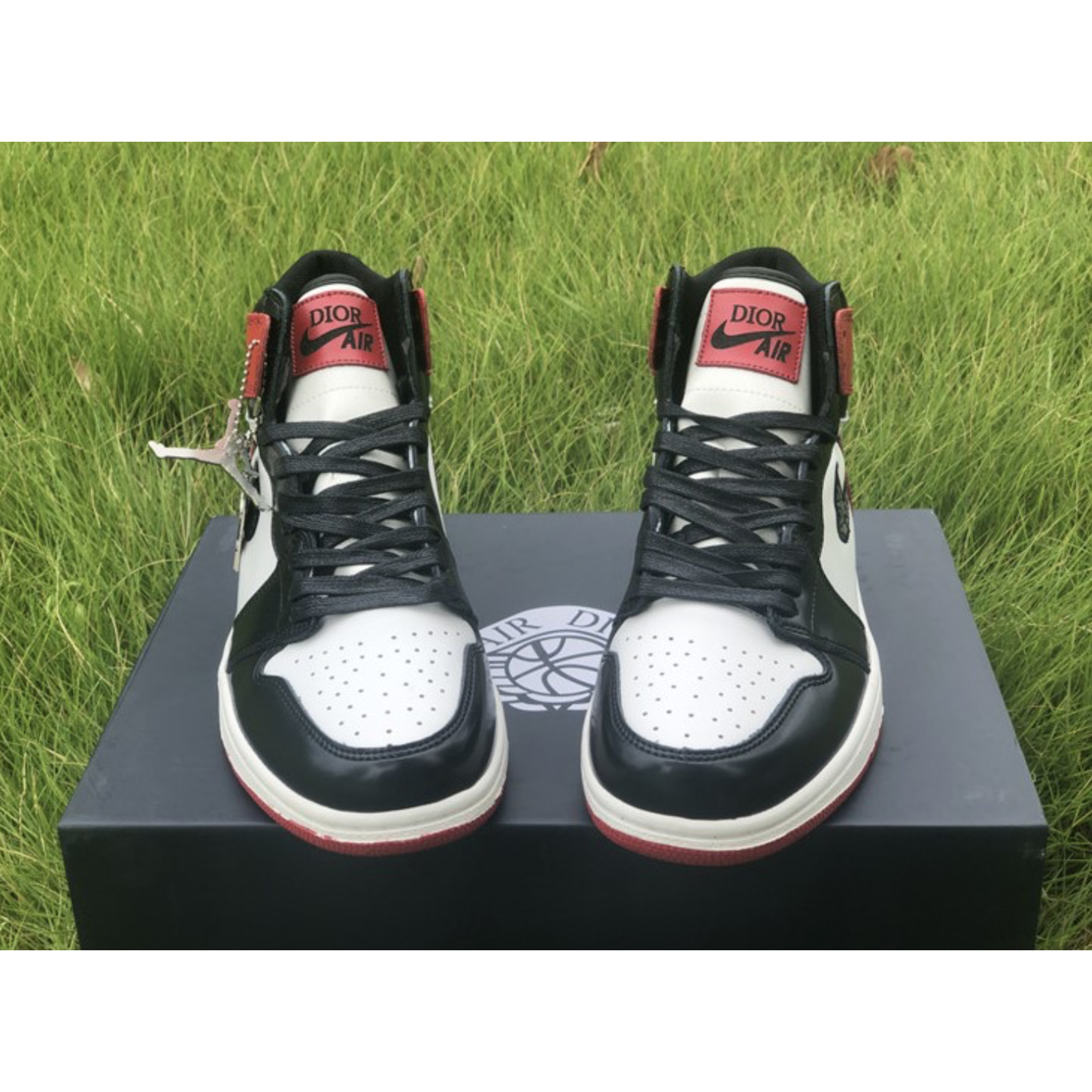 Air Jordan 1 High Black Red X Dior