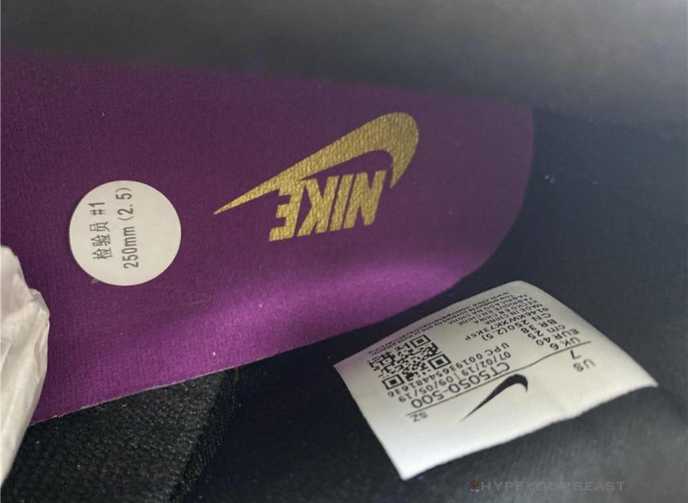 Nike Dunk 'Viotech'